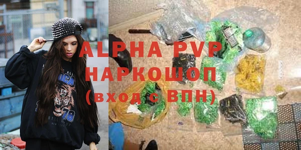 a pvp Белокуриха