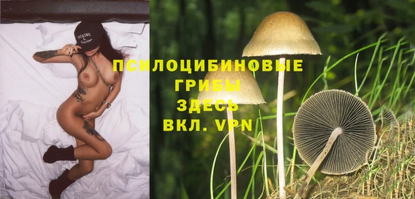 a pvp Белокуриха
