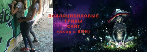 a pvp Белокуриха